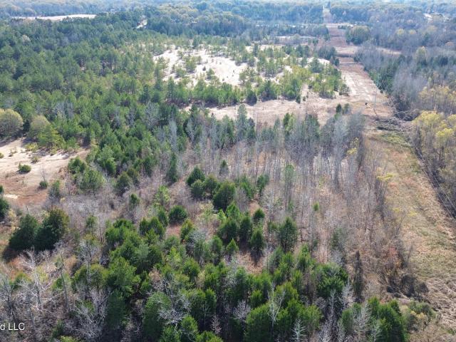 Land for sale in Bentonia, Mississippi