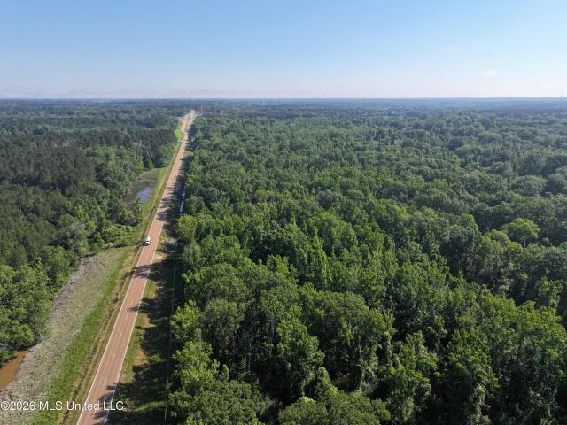 Land for sale in Bogue Chitto, Mississippi