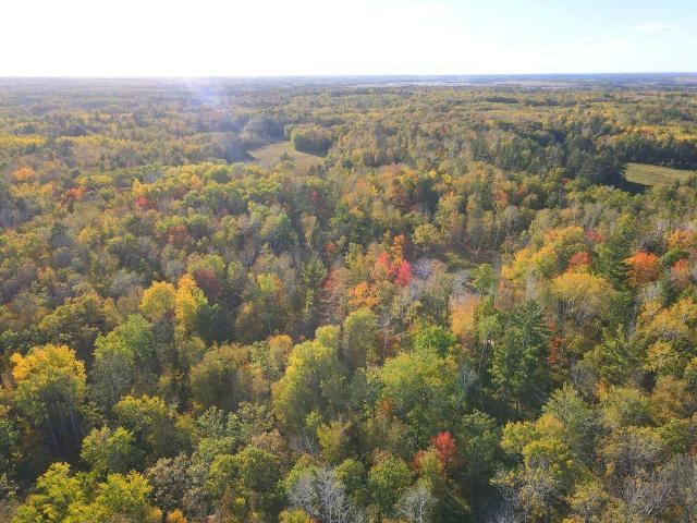 Land for sale in Park Rapids, Hubbard County