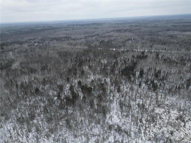 Land for sale in Big Falls, Minnesota