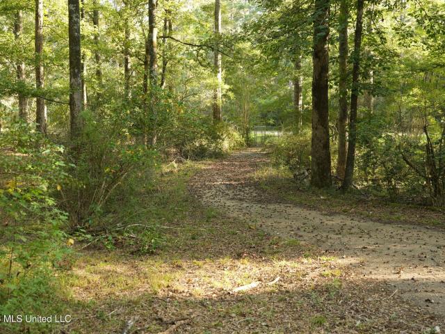 Land for sale in Summit, Pike County