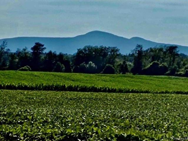 Land for sale in Livingston, New York