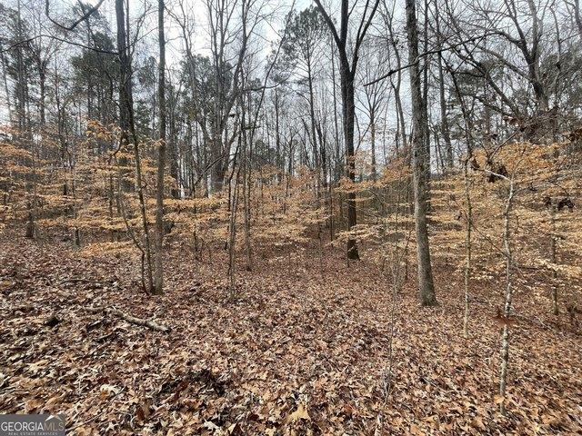 Land for sale in Franklin, Georgia