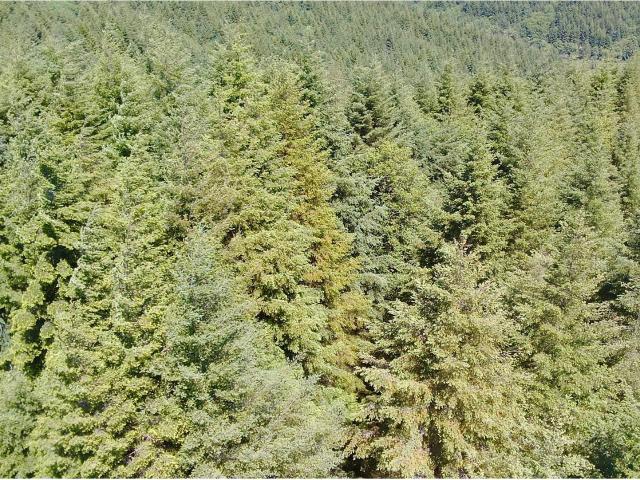 Land for sale in Oregonia