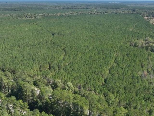 Land for sale in Pachuta, Mississippi
