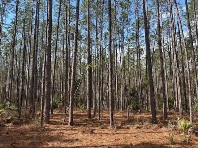 Land for sale in Bell, Florida