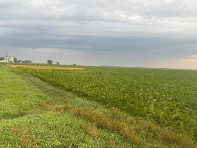 Land for sale in Swift, Minnesota