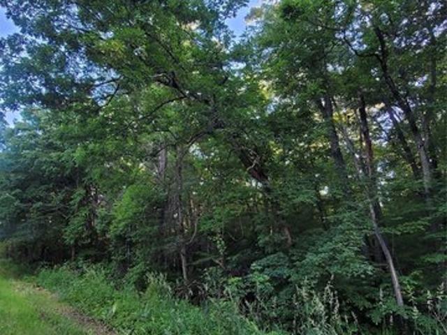 Land for sale in Merrillan, Wisconsin