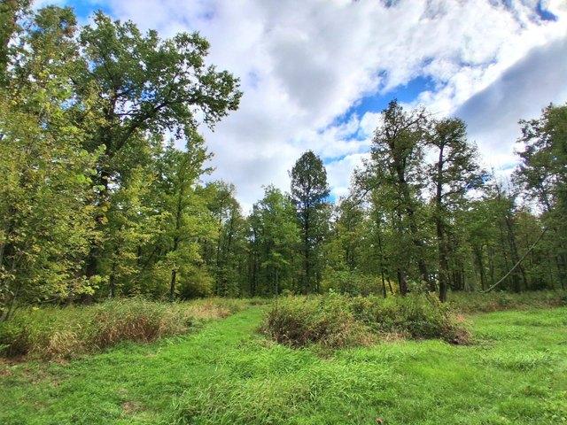 Land for sale in Onamia, Mille Lacs County