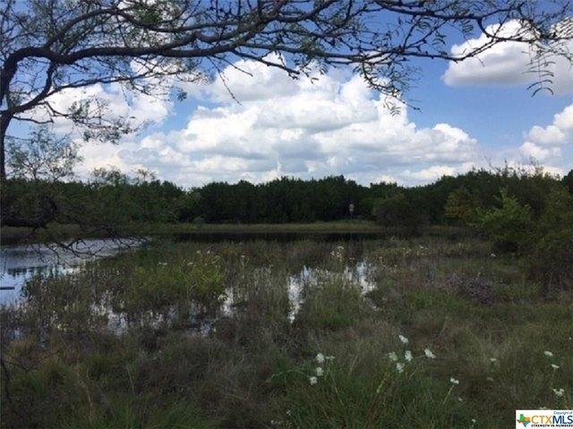 Farm for sale in Lometa, Texas