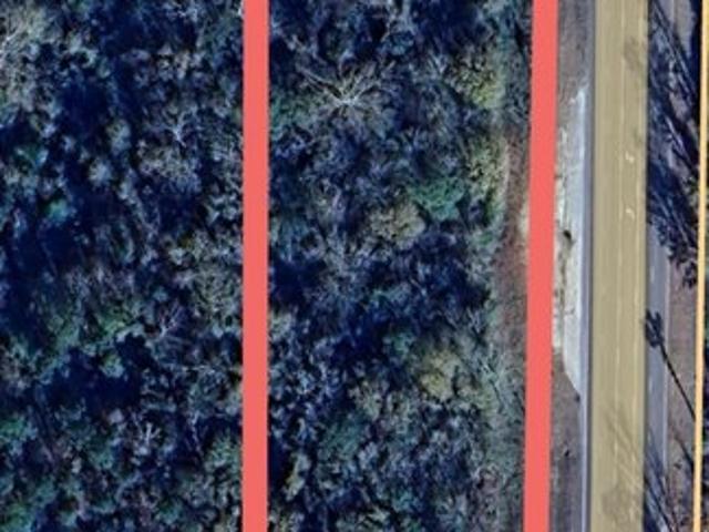 Land for sale in Brundidge, Alabama