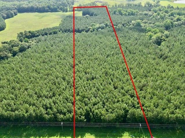 Land for sale in Brundidge, Pike County