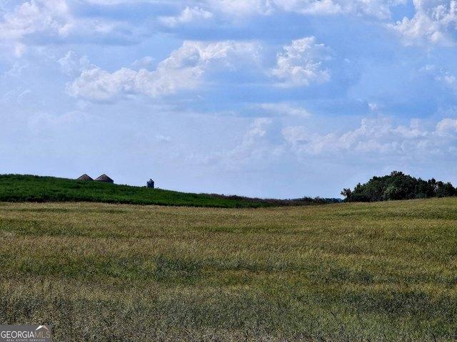 Land for sale in Franklin, Heard County