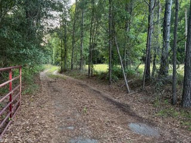 Land for sale in Stewart, Georgia