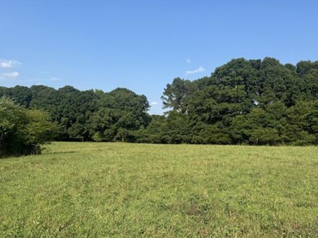Land for sale in Commerce, Jackson County
