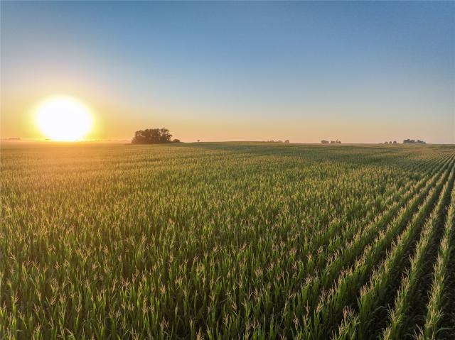 Land for sale in Story, Iowa