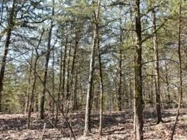 Land for sale in Highlandville, Missouri