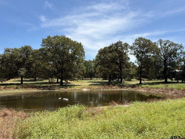 Land for sale in Wood, Texas
