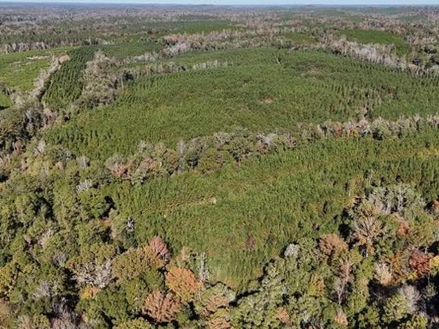 Land for sale in Eufaula, Alabama