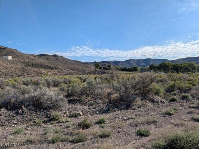 Land for sale in Caliente, Nevada
