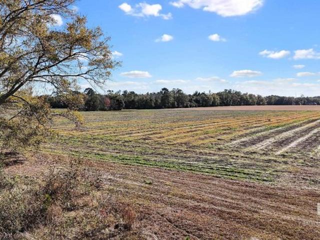 Land for sale in Elberta, Alabama
