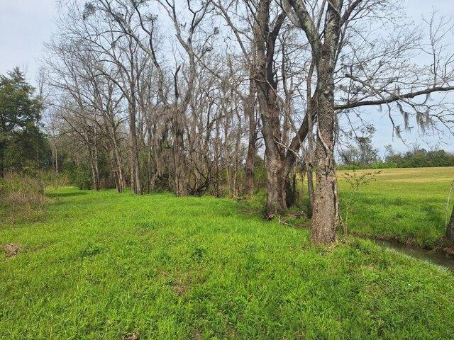 Land for sale in Hope Hull