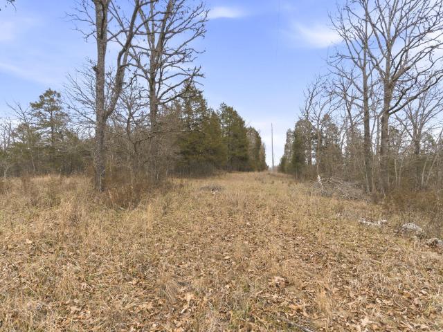 Land for sale in Forsyth, Missouri