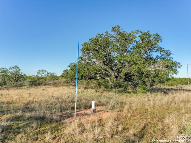 Farm for sale in Mason, Texas
