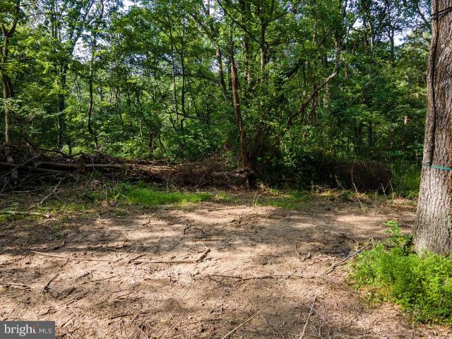 Land for sale in Virginia