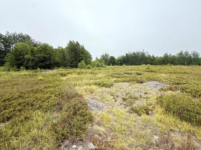 Land for sale in Corea, Maine