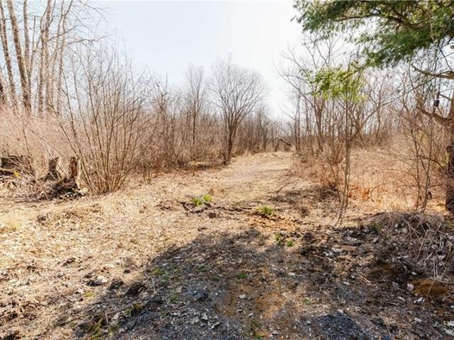Land for sale in Calcium, New York