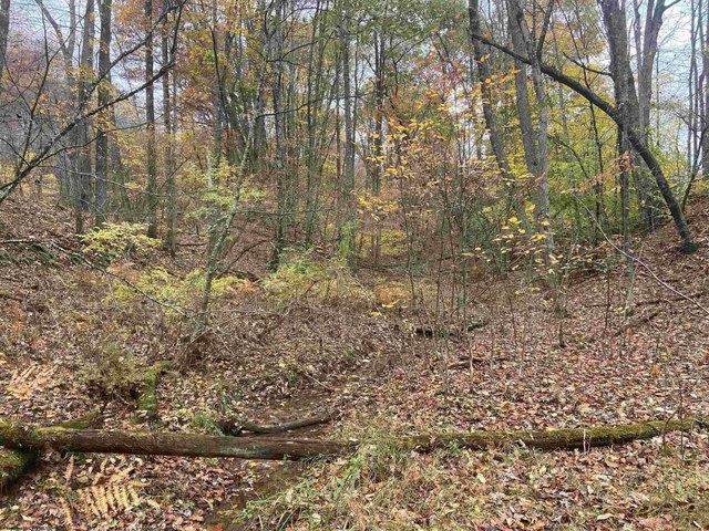 Land for sale in Elkins, West Virginia