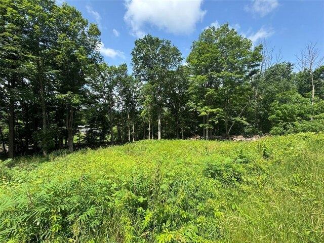 Land for sale in Kirkwood