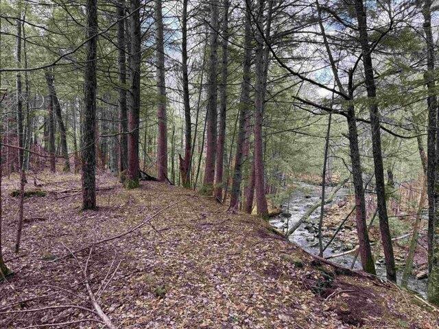 Land for sale in New Hampshire