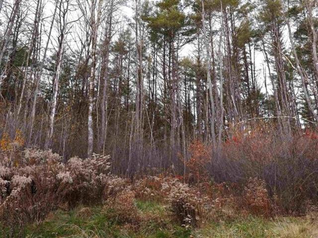 Land for sale in Norwich, Vermont