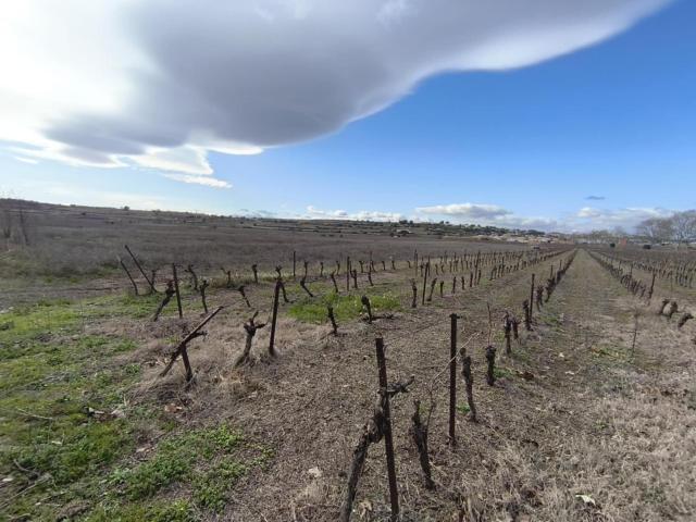 Terrain vente à Lodève, Usclas-d'hérault
