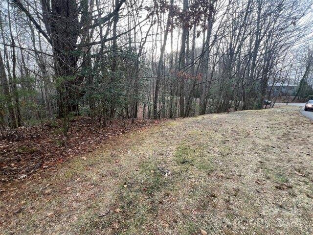 Land for sale in Brevard Land for sale in Brevard