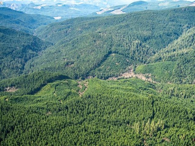 Land for sale in Oregonia