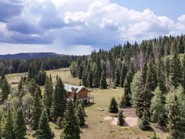 Farm for sale in Tres Piedras, New Mexico