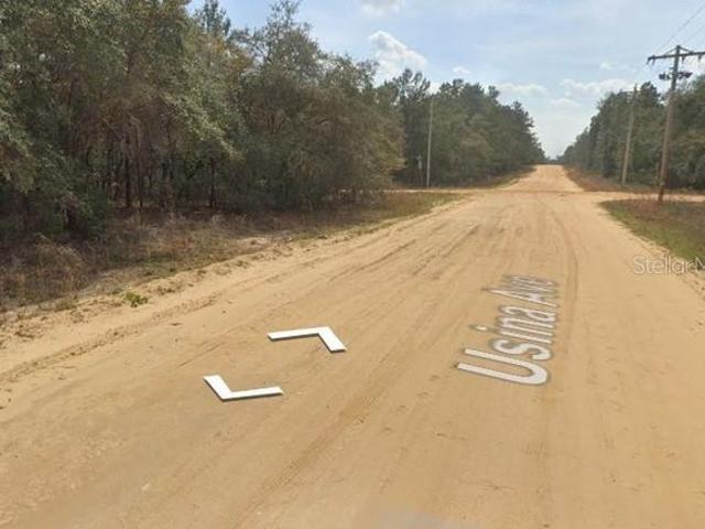 Land for sale in Interlachen, Putnam County