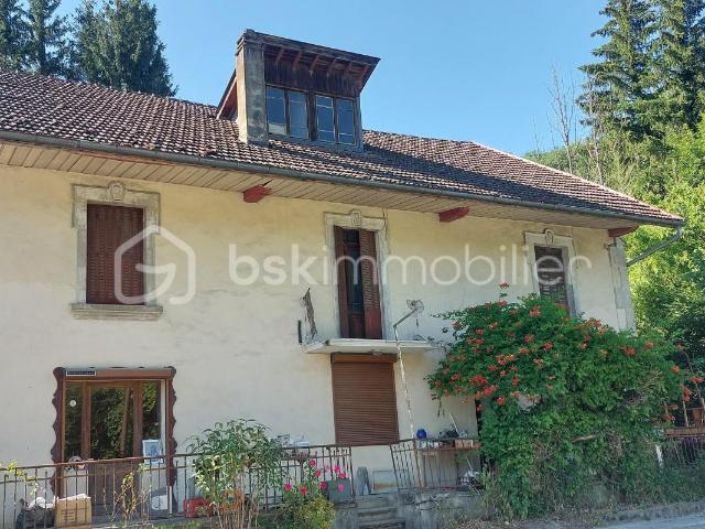 Immeuble vente à Usinens Immeuble vente à Usinens