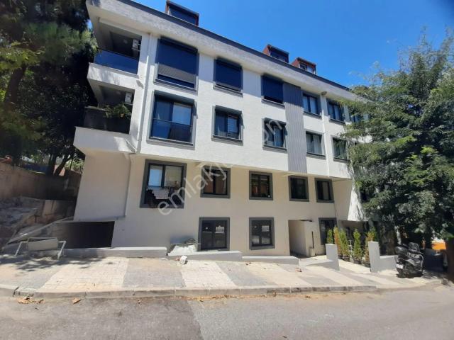 Üsküdar, İstanbul içerisinde kiralık mülk
