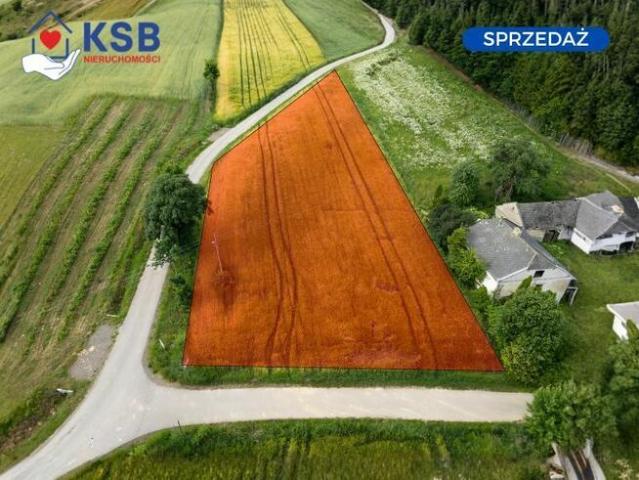 Grunt na sprzedaż w Waśniów, Świętokrzyskie