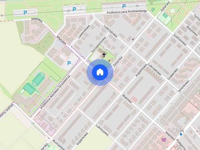 Mieszkanie do wynajęcia w Plewiska, Wielkopolskie