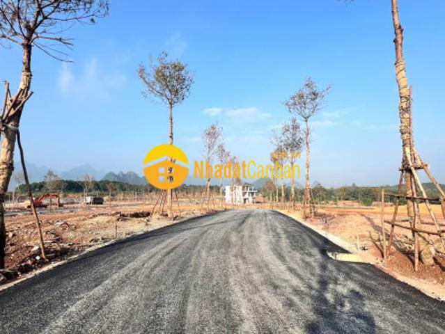 Biệt Thự bán