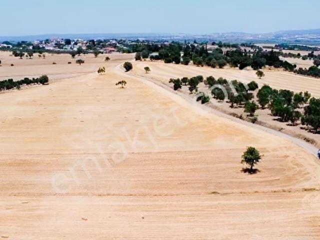 Ezine, Çanakkale içerisinde satılık Arsa