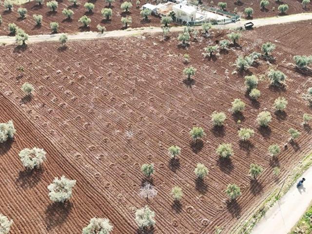 Doğan Güreş Paşa Mahallesi, Kilis Merkez içerisinde satılık mülk