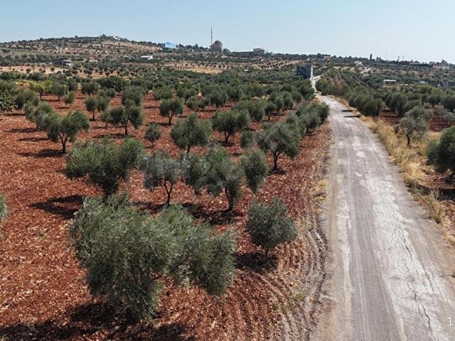 Demirışık Köyü, Kilis Merkez içerisinde satılık mülk