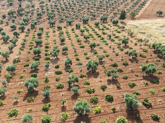 Akçabağlar Köyü, Kilis Merkez içerisinde satılık mülk