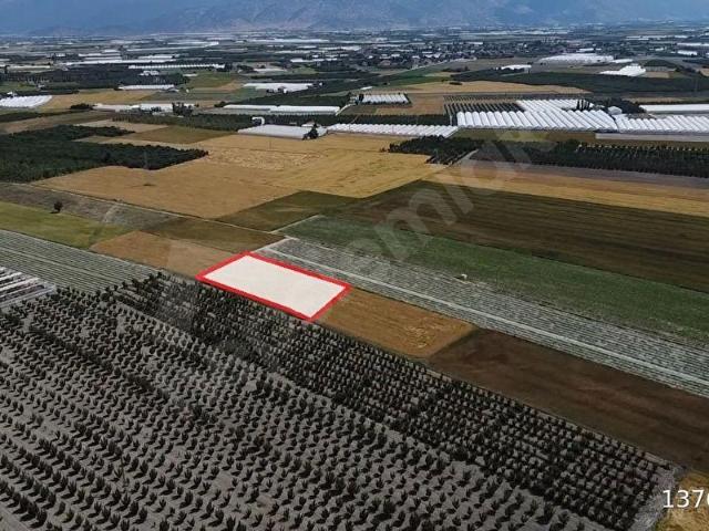 Elmali, Antalya içerisinde satılık Arsa